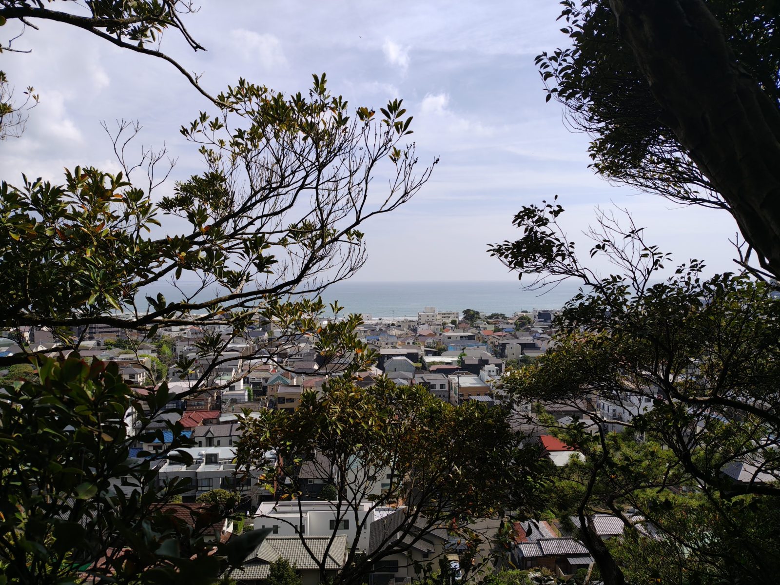 【#2】愛する町、鎌倉②　おい、小林。