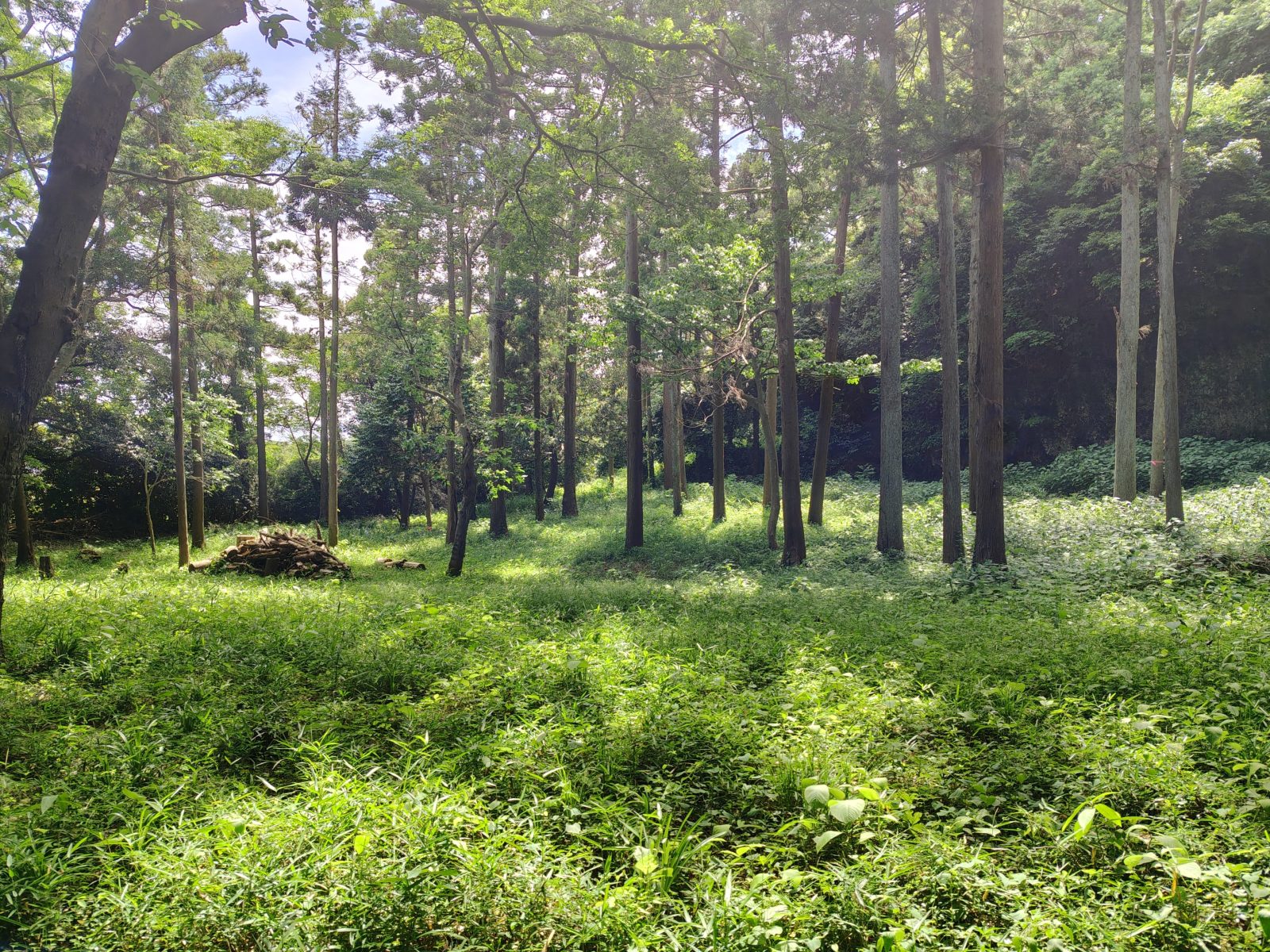 【#4】愛する町、鎌倉④　箱庭の余剰
