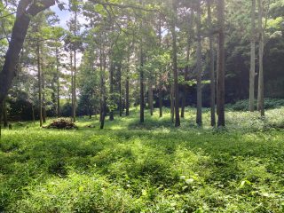 【#4】愛する町、鎌倉④　箱庭の余剰