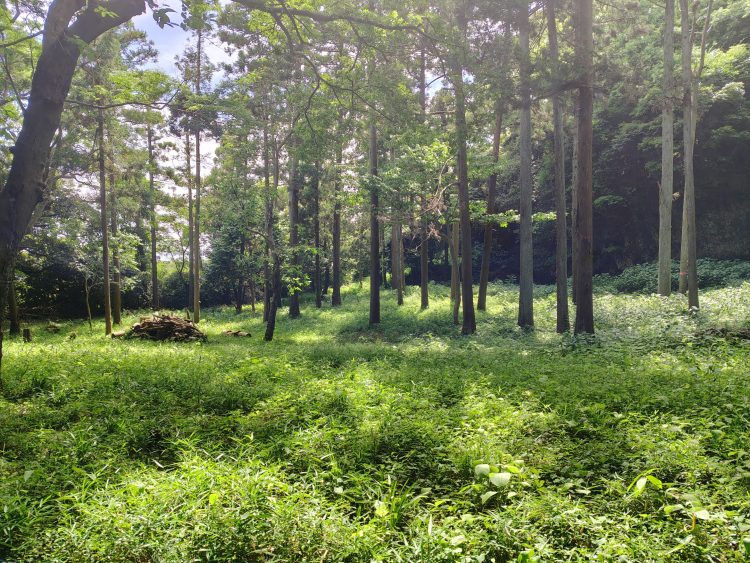 【#4】愛する町、鎌倉④　箱庭の余剰