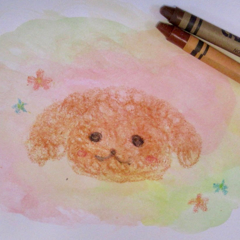 【#2】うちの犬とわたし
