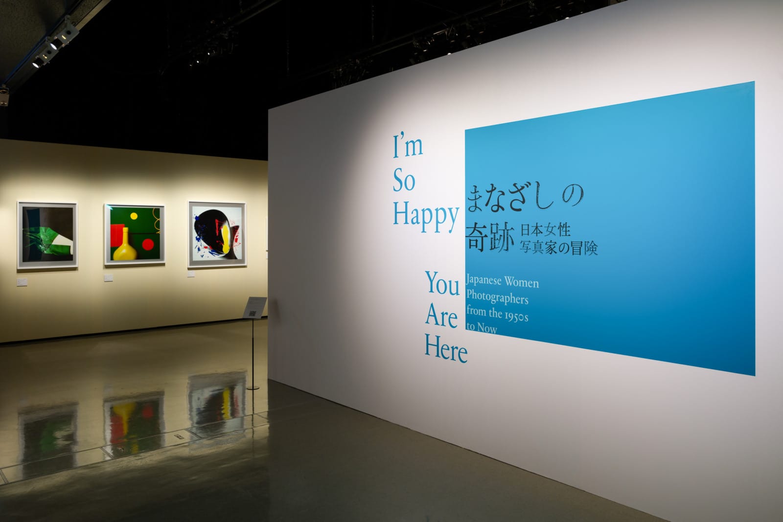 「まなざしの奇跡　日本女性写真家の冒険」に行く。