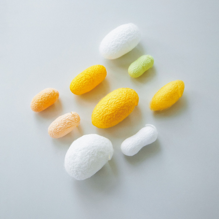 机の上のサイエンス。Vol.62