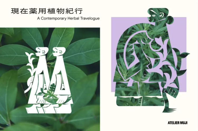 「現在薬用植物紀行」が気になる。
