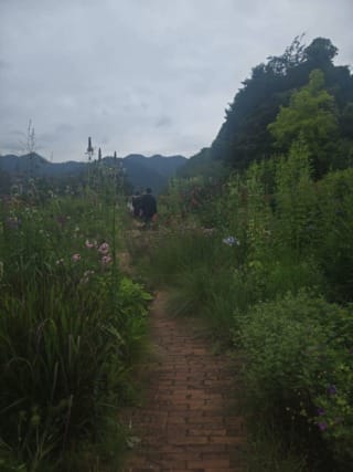 【#1】分からないときは