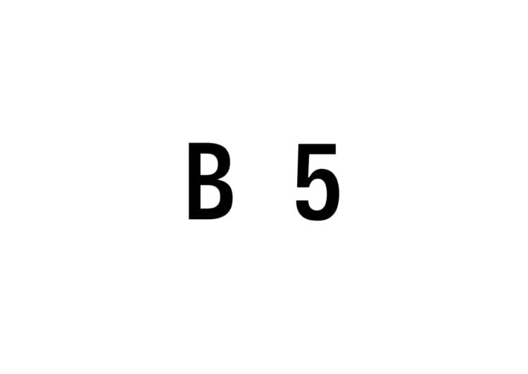 「B5 PROJECT」に参加する。