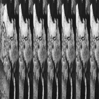 Deep Looking Radio 2 Vol.23